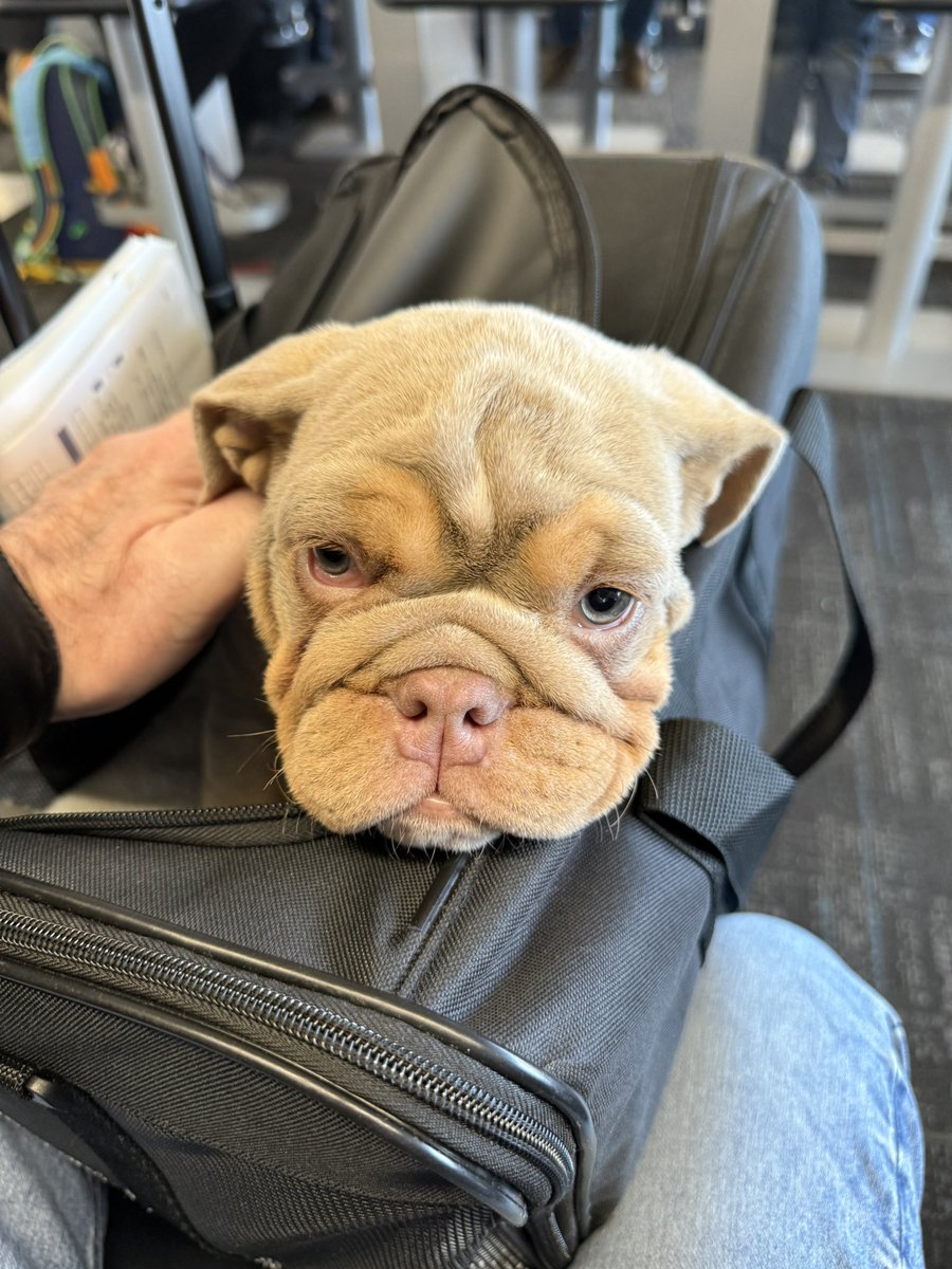 𝔸𝕣𝕥𝕦𝕣𝕠 ℂ𝕒𝕤𝕥𝕒𝕘𝕟𝕖́ ℂ𝕠𝕦𝕥𝕦𝕣𝕚𝕖𝕣 tweet media