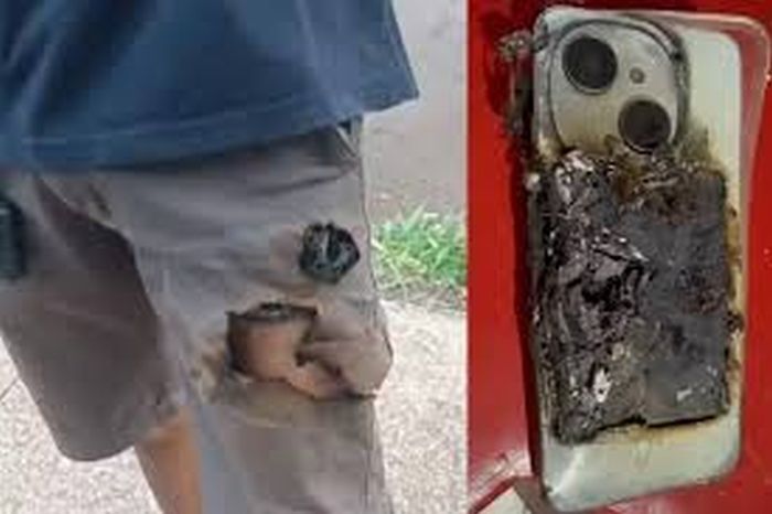 Bizarre Buzz tweet media