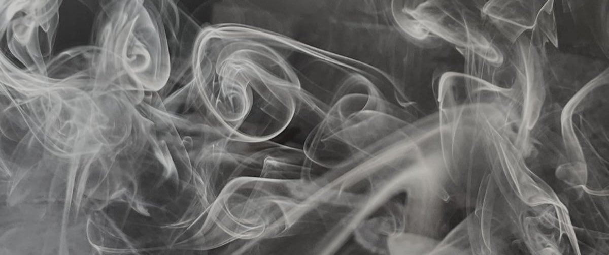 suki 🪽 tweet media