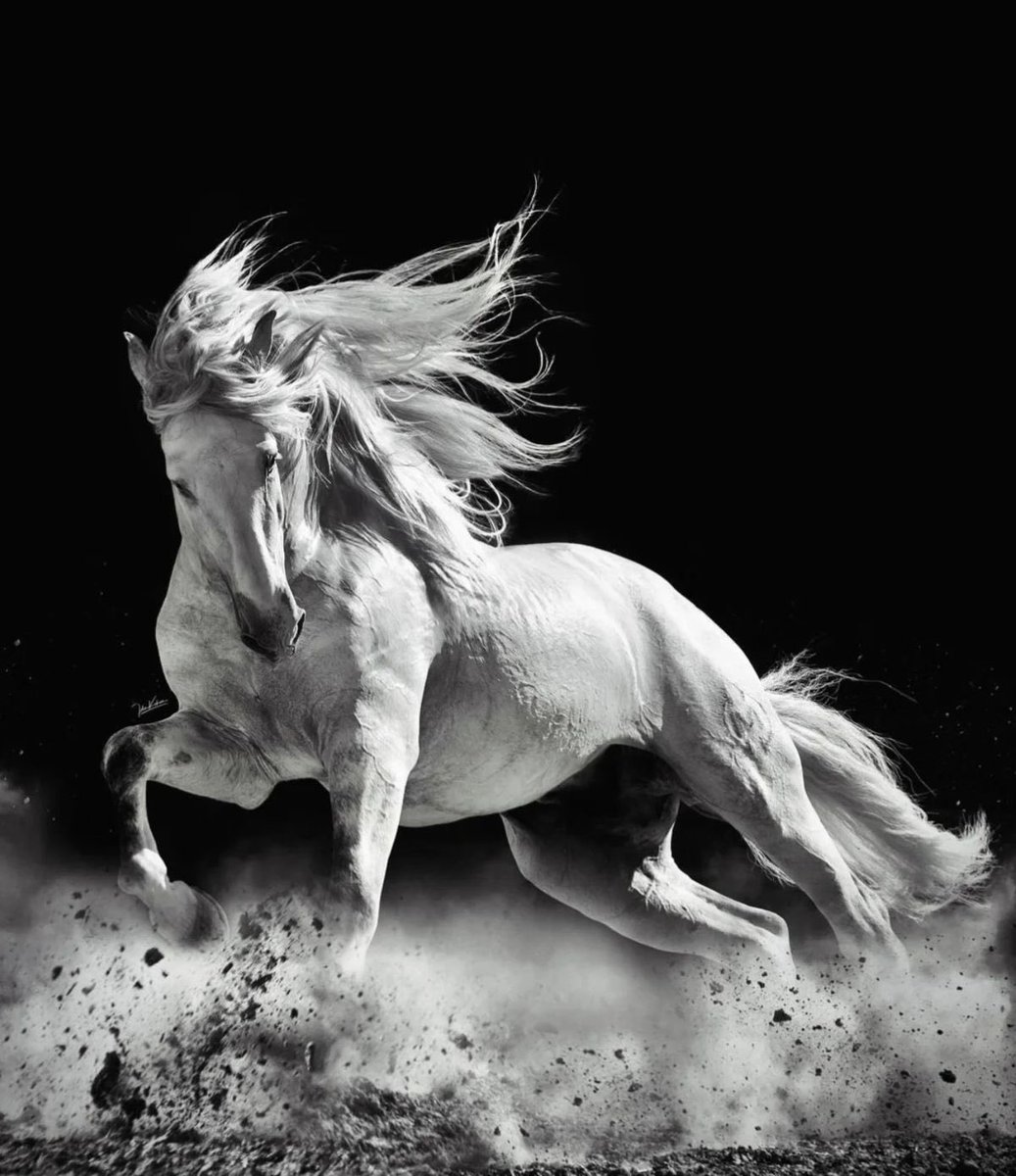 <a href="/onnyanko_no2/">おんニャンコno2</a> <a href="/catmax2942038/">cat max</a>