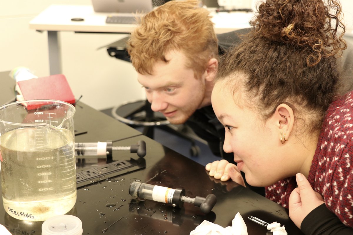 Bigelow Laboratory tweet media