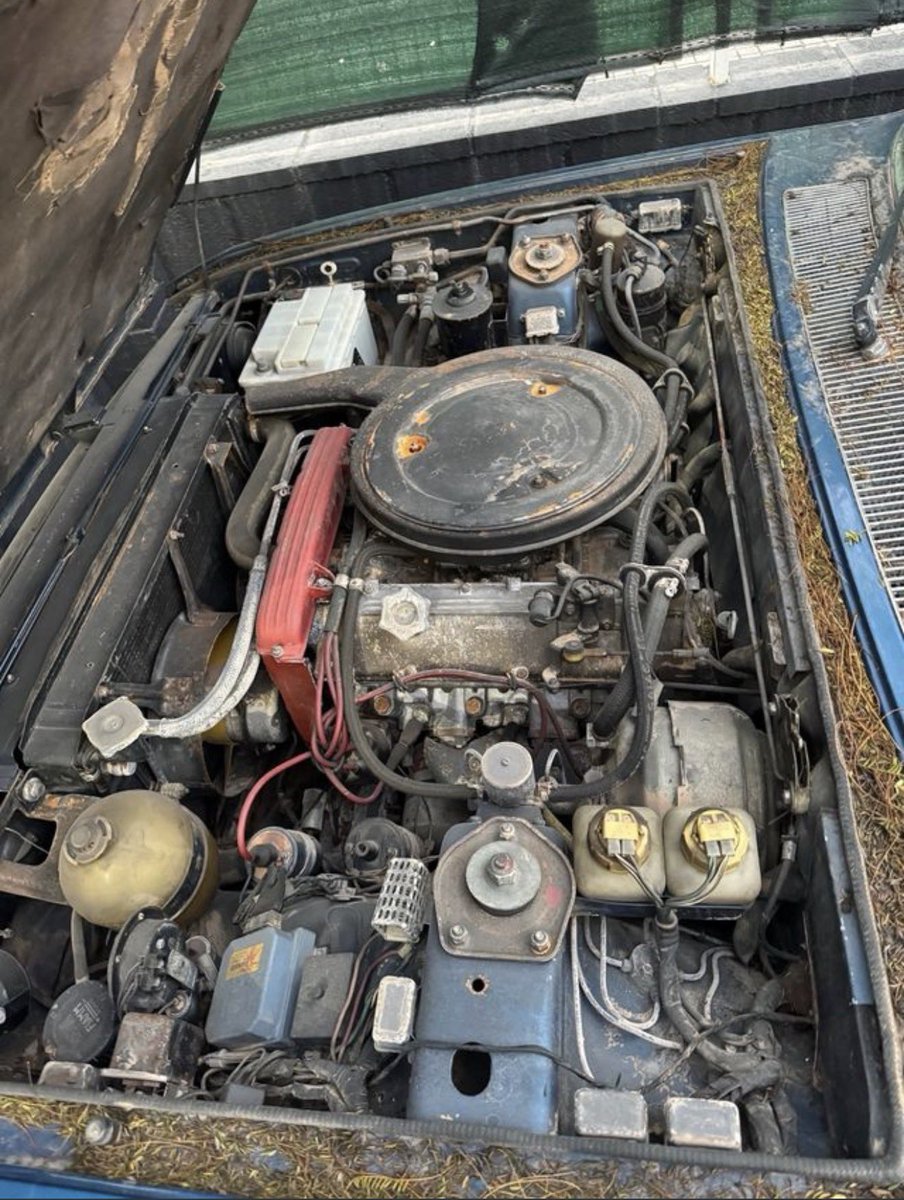 Rubén Cabrera tweet media