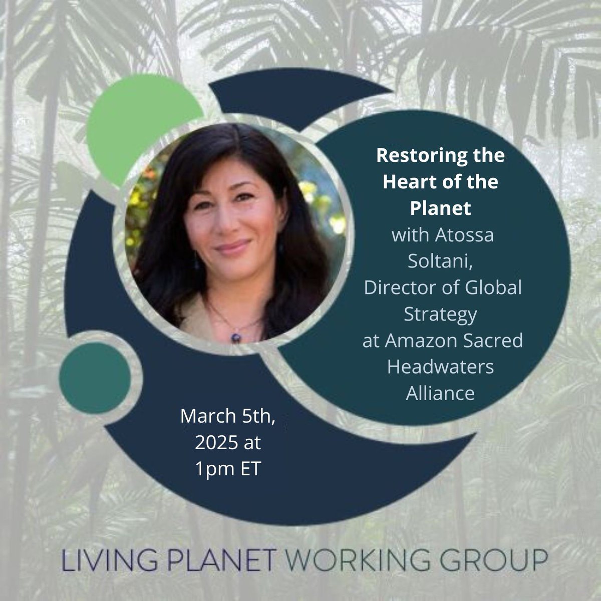 Amazon Sacred Headwaters Alliance tweet media