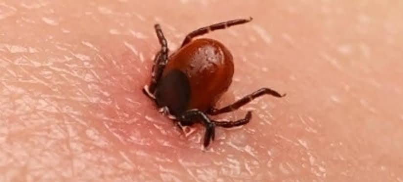 Keith Siau tweet media