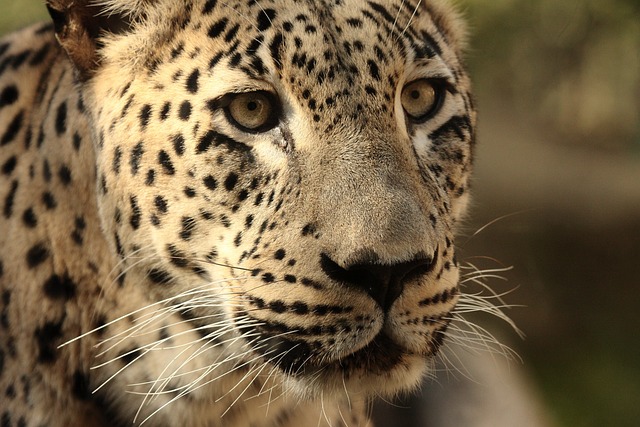 Tim Cleveland tweet media