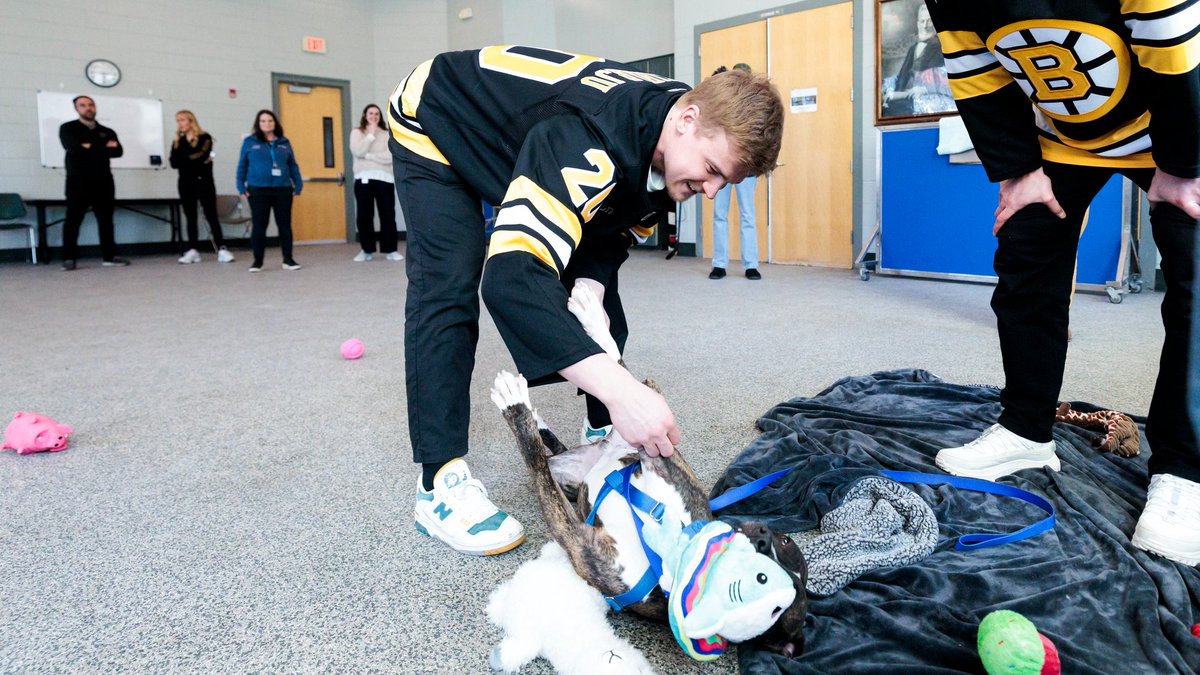 Boston Bruins tweet media