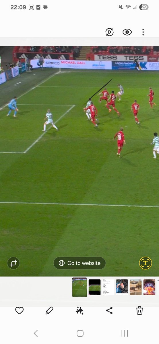 Ready Bear tweet media