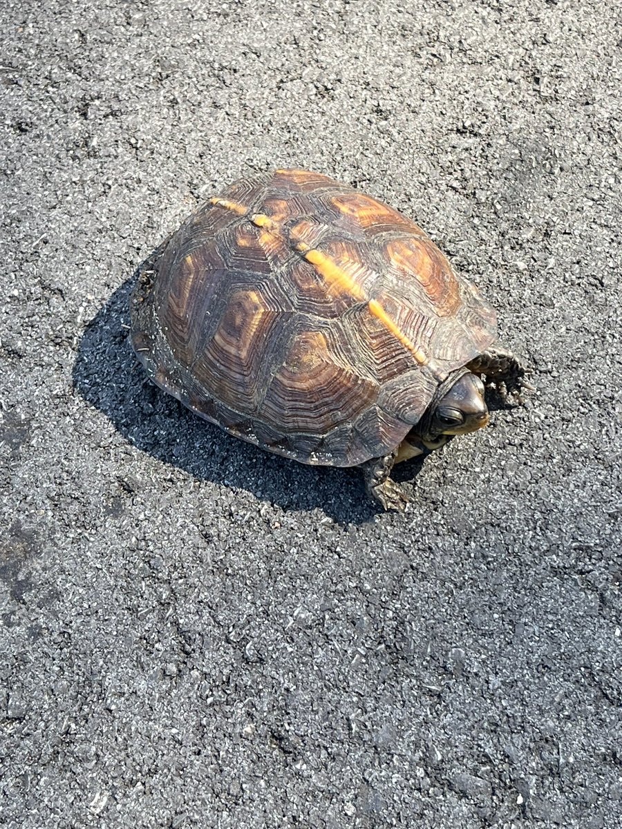 Keith Thompson tweet media