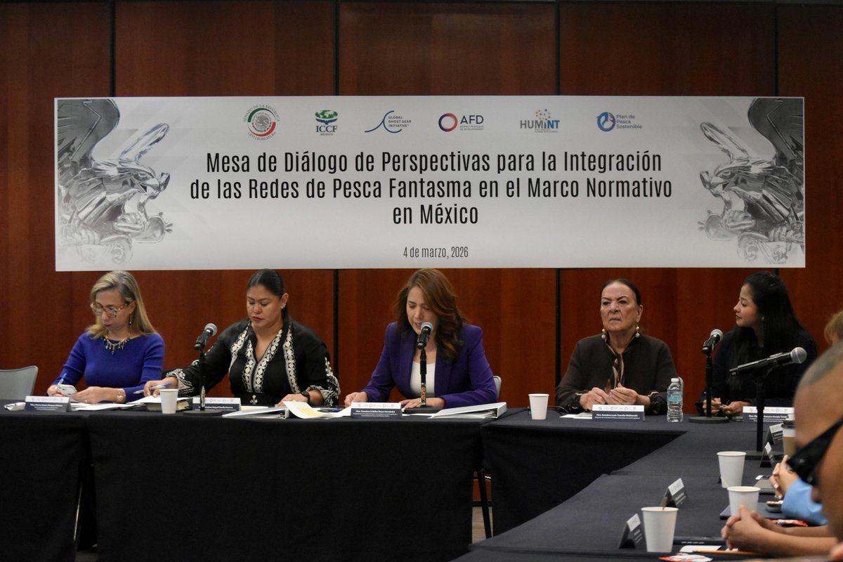 The ICCF Group tweet media