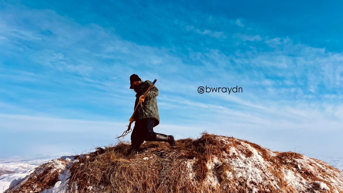 bwraydn's tweet photo. İnanmadım hiçbir şarkıya
Derimde açılan yaralara taht olsun diyedir
Göğsümü gere gere durduğum bu sapak
Bu takvimler şehri

Bawer Aydın https://t.co/X1vnQyqboH