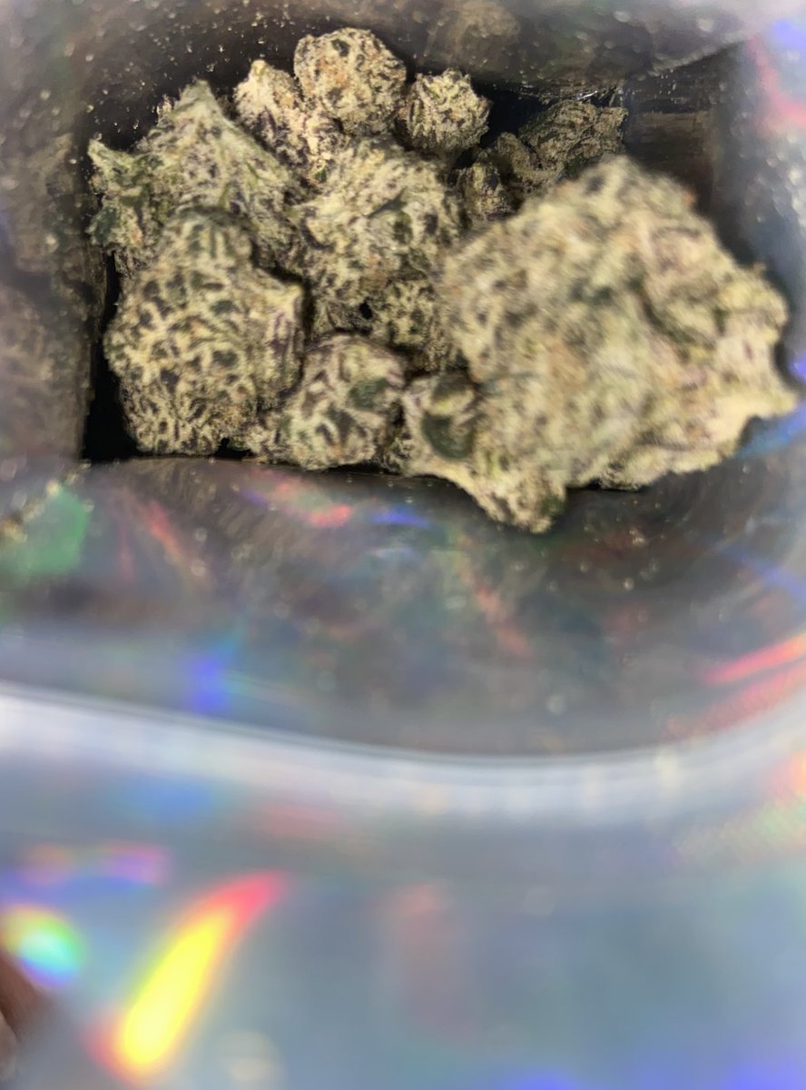 deeedeezyy_'s tweet image. #eveningsession 🍃🙂‍↔️