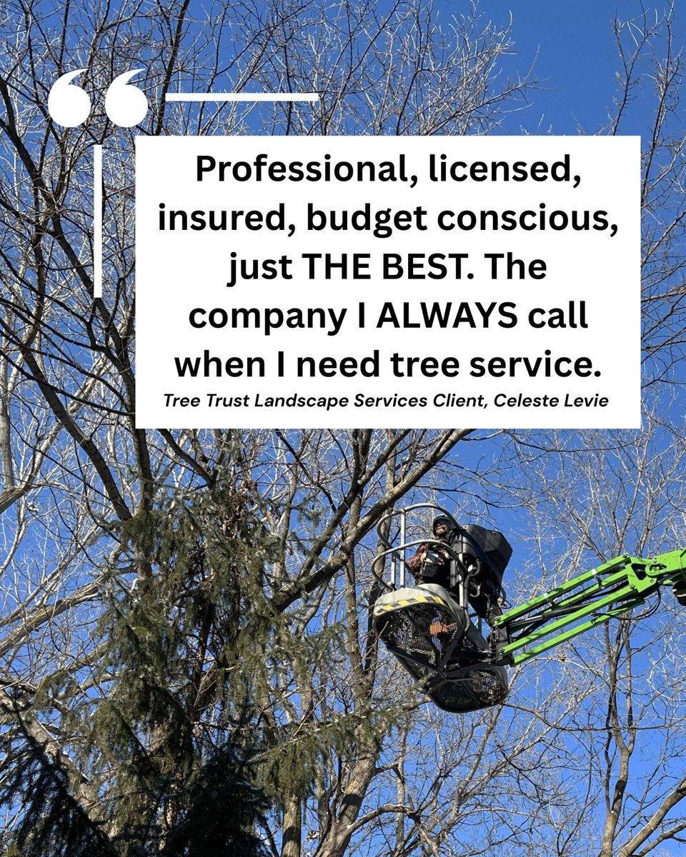 Tree Trust tweet media