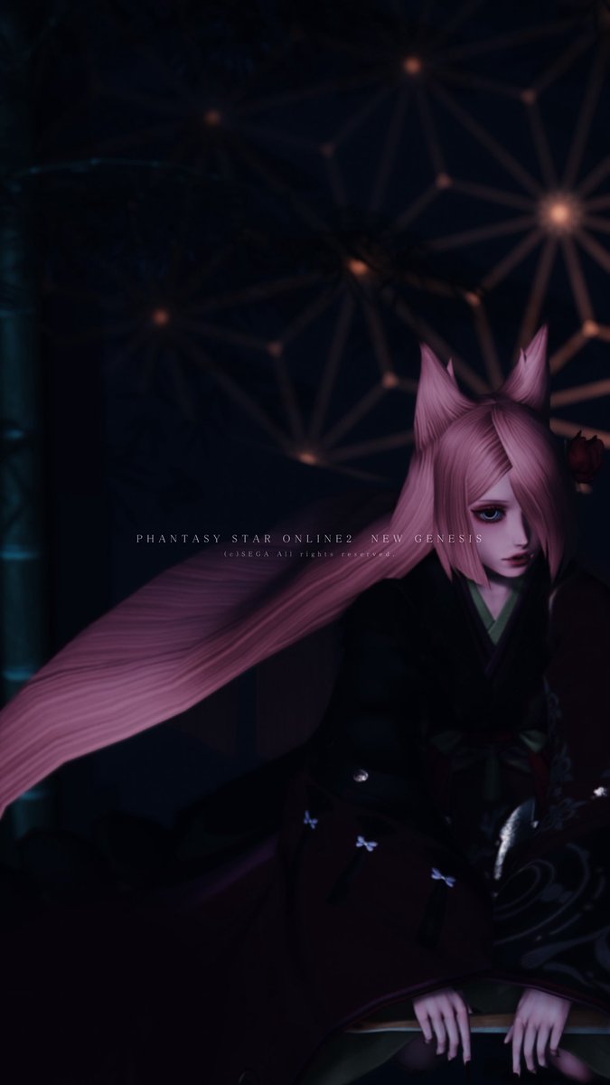 xxxnspxxx's tweet photo. #PSO2NGS_SS https://t.co/BccCqATLYR