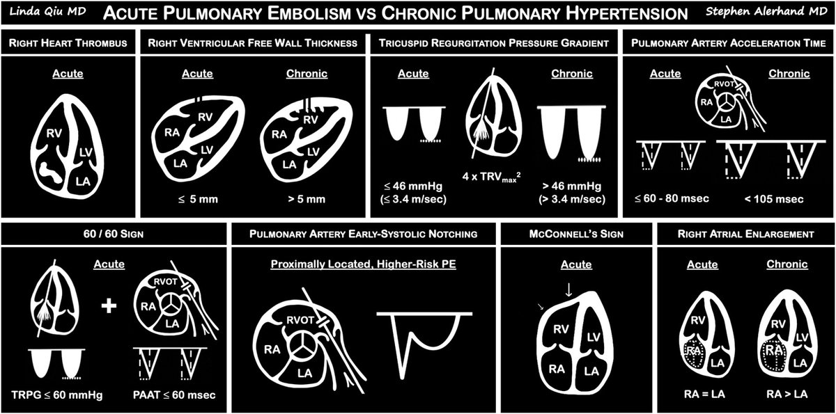 NephroPOCUS tweet media