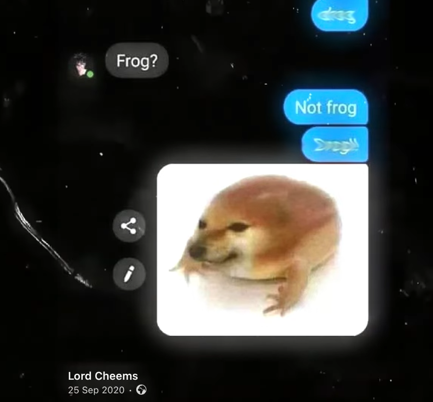 dévôir🥖 tweet media