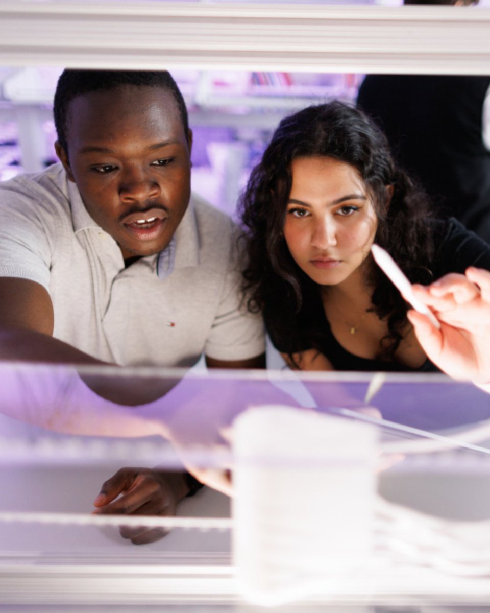 Florida Polytechnic University tweet media