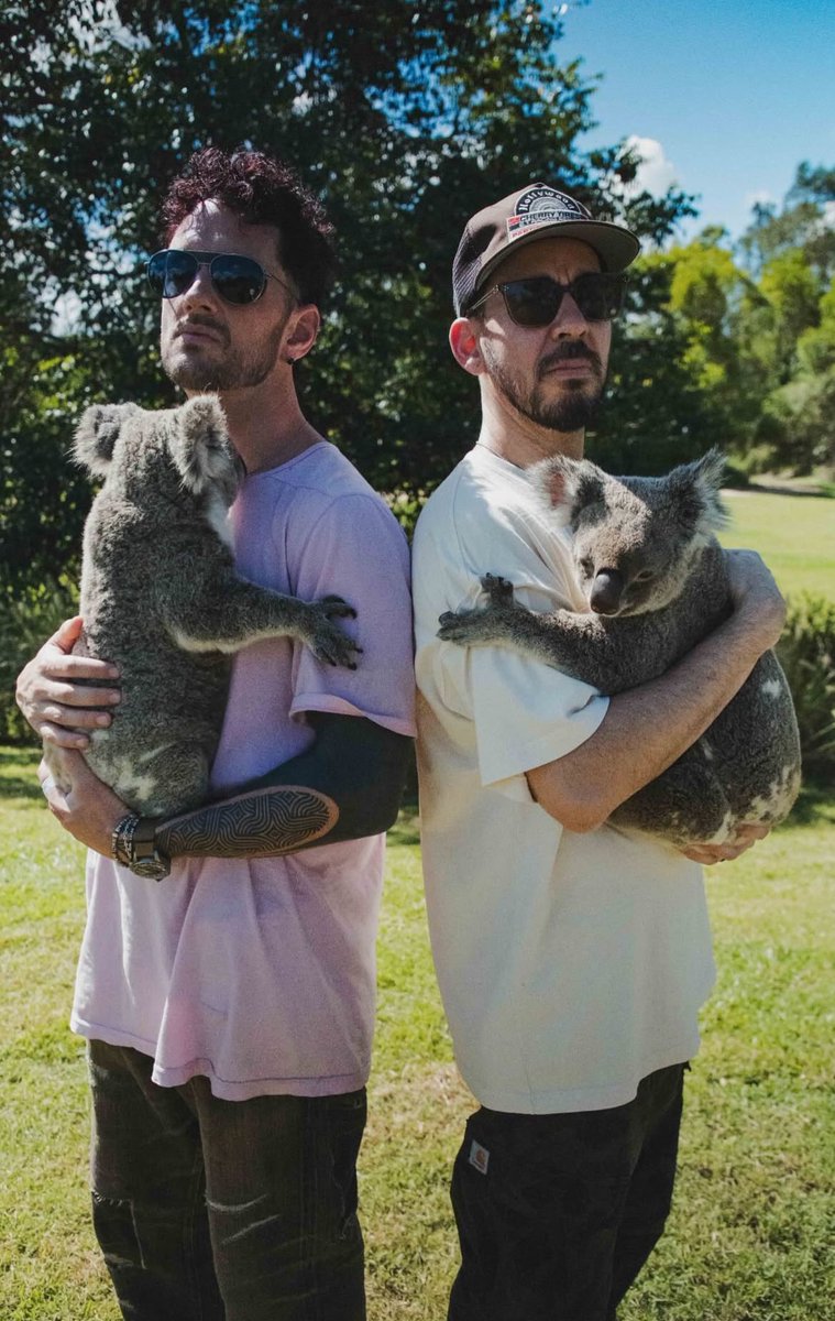 Koalin and Mikoal