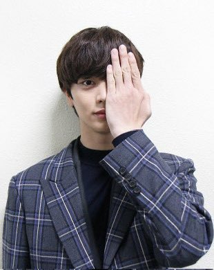 진히 tweet media