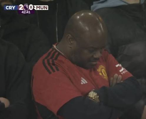 Peter Ly ⭐⭐ tweet media