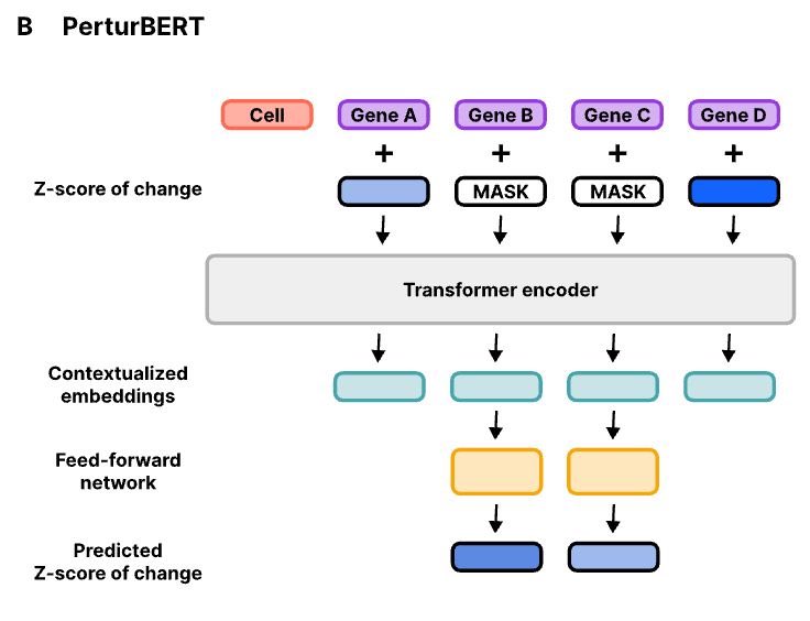 antisense. tweet media