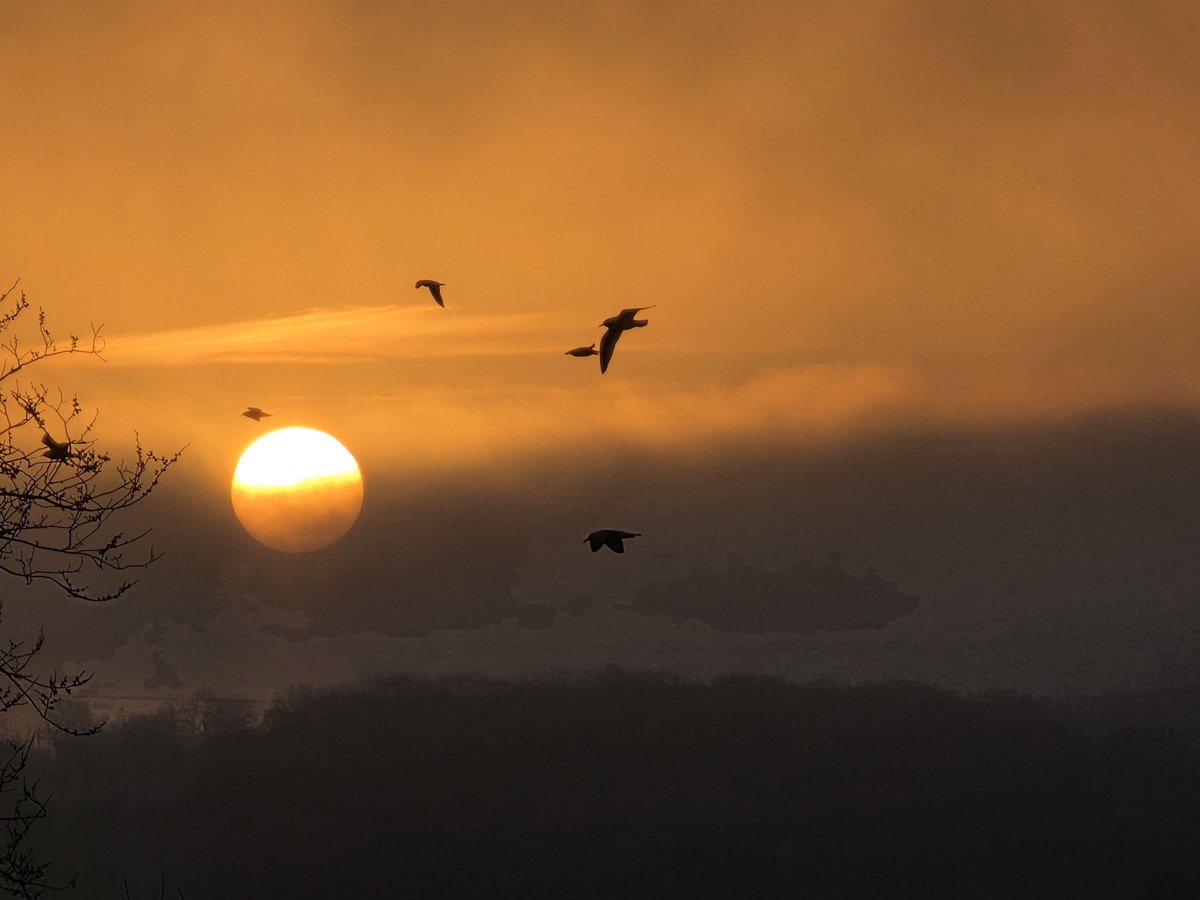 StormchaserAl's tweet photo. @Shefali_oza Hi Shef, so you dont think that the outrageous colours, in this mornings sunrise, were anything to do with the Saharan Dust? https://t.co/tPX30xblOx