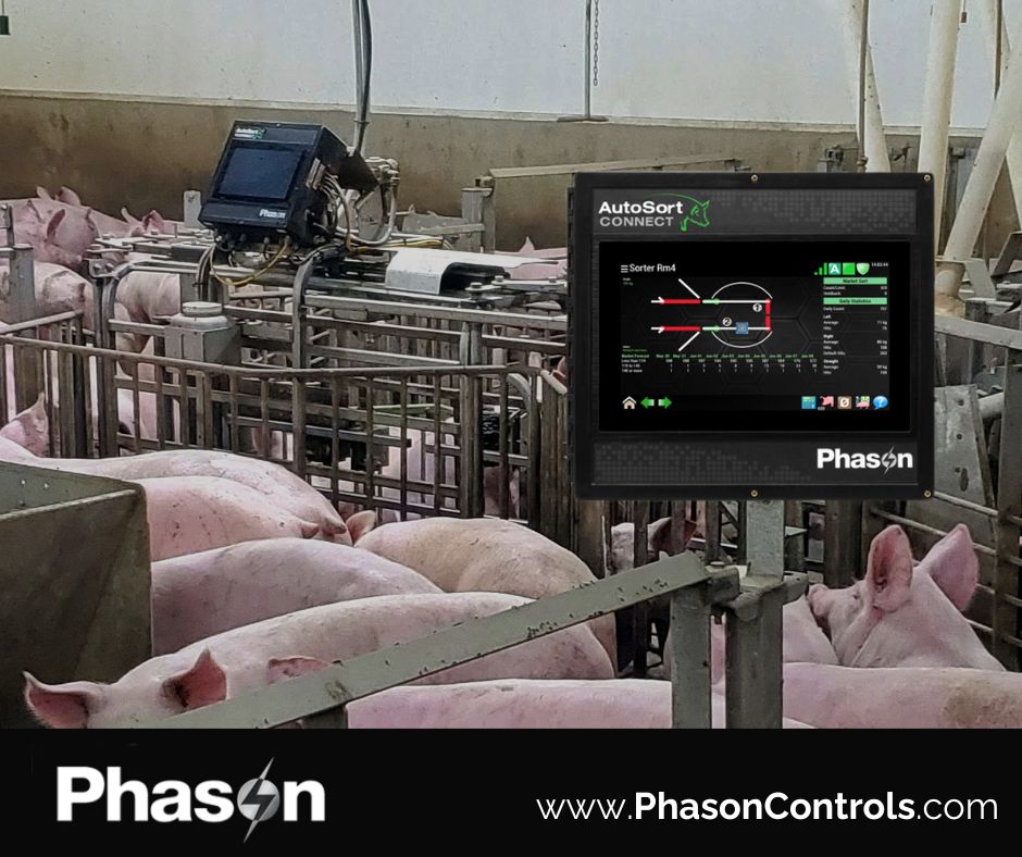 Phason Controls tweet media