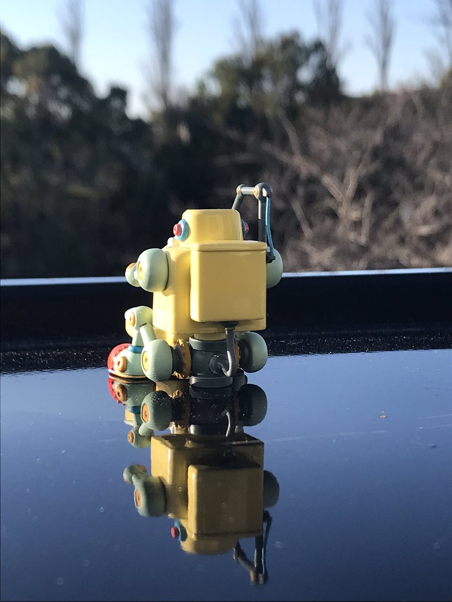 hakase.yamanaka tweet media