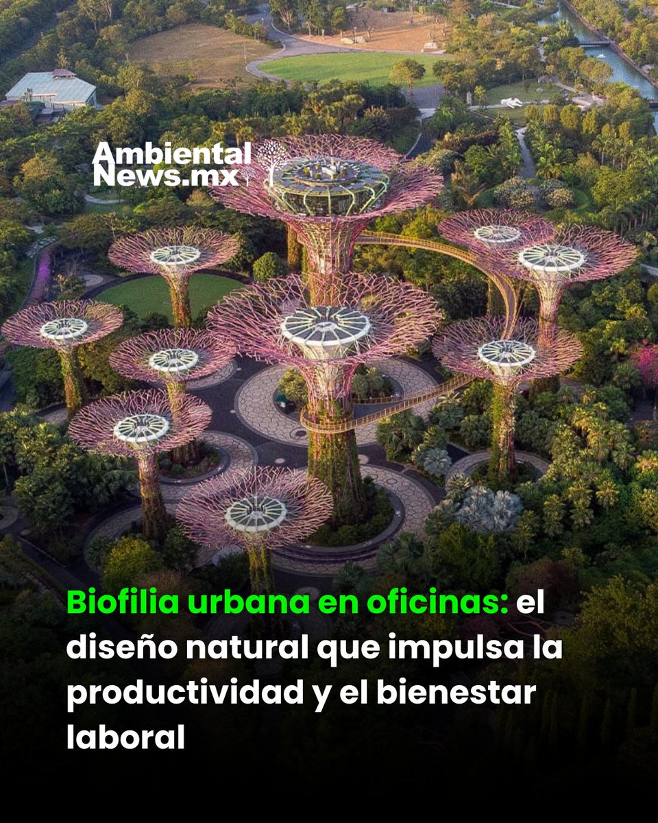 La biofilia 🌿 urbana gana terreno en el entorno 🏢 laboral: integrar naturaleza en oficinas mejora la productividad 📈, reduce el estrés 😌 y fortalece el bienestar de los equipos, posicionándose como una tendencia clave en el diseño corporativo sostenible. 

Descubre cómo la