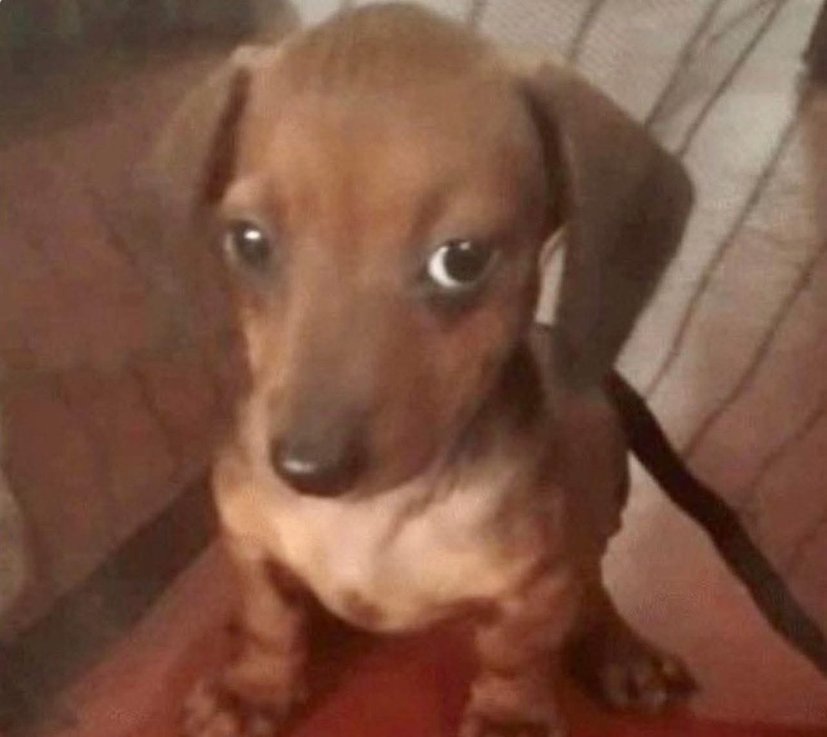 me siento un poco así sabes