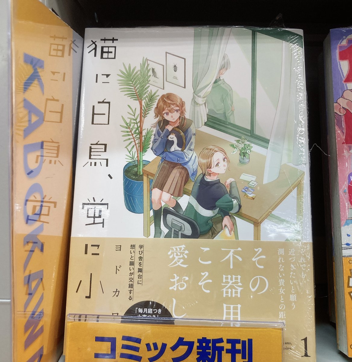 書籍入荷情報】 ＃ヨドカワ 先生 ・猫に白鳥、蛍に小判(1) アニメイト