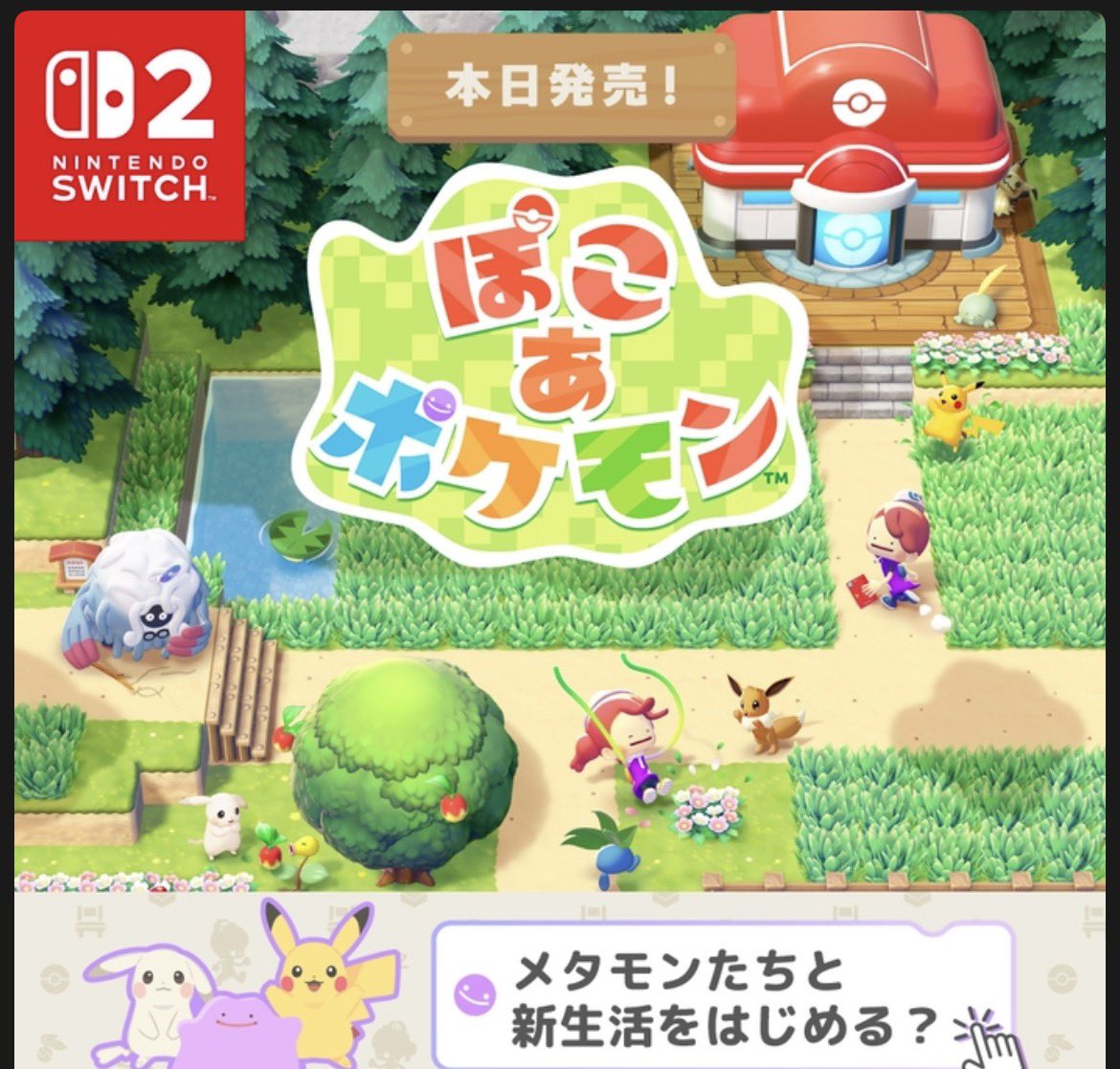 まーぶる💫Twitch tweet media