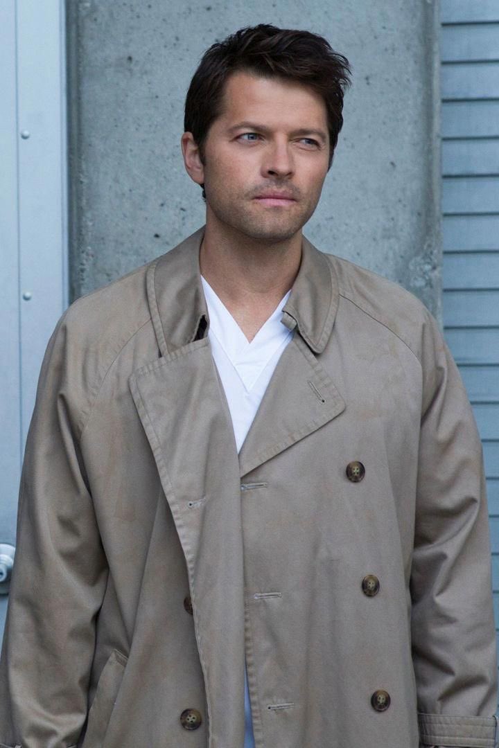 MISHACOLLINSFAN tweet media