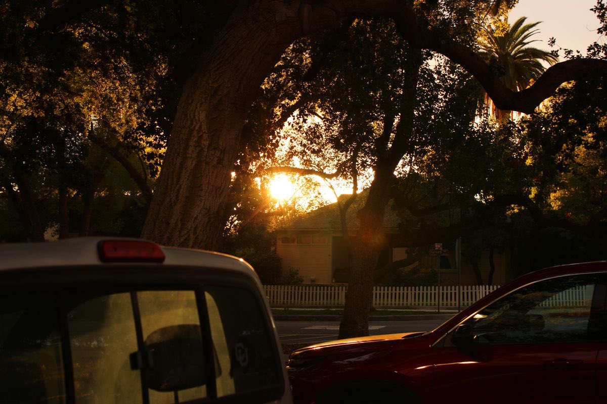 Abdulmohsen tweet media