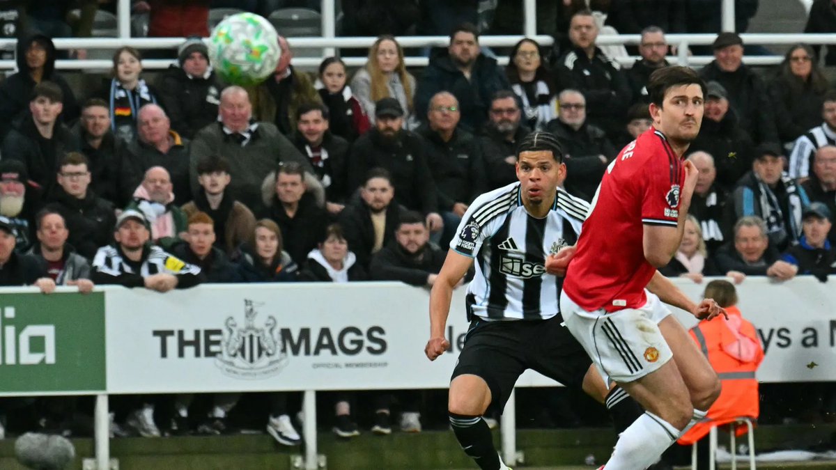 Thomas Alencar tweet media