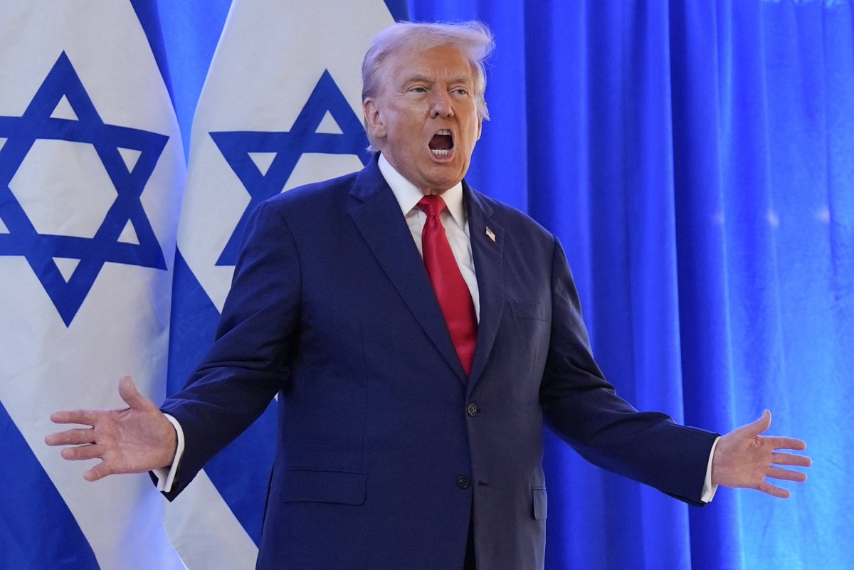 ✦✦✦ 𝙿𝚊𝚖𝚙𝚑𝚕𝚎𝚝𝚜 ✦✦✦ tweet media