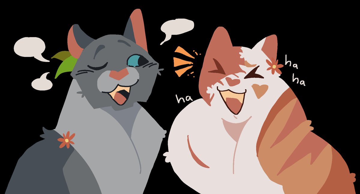 gato sapata 💬 tweet media