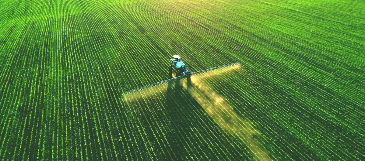 Texas Corn Producers tweet media