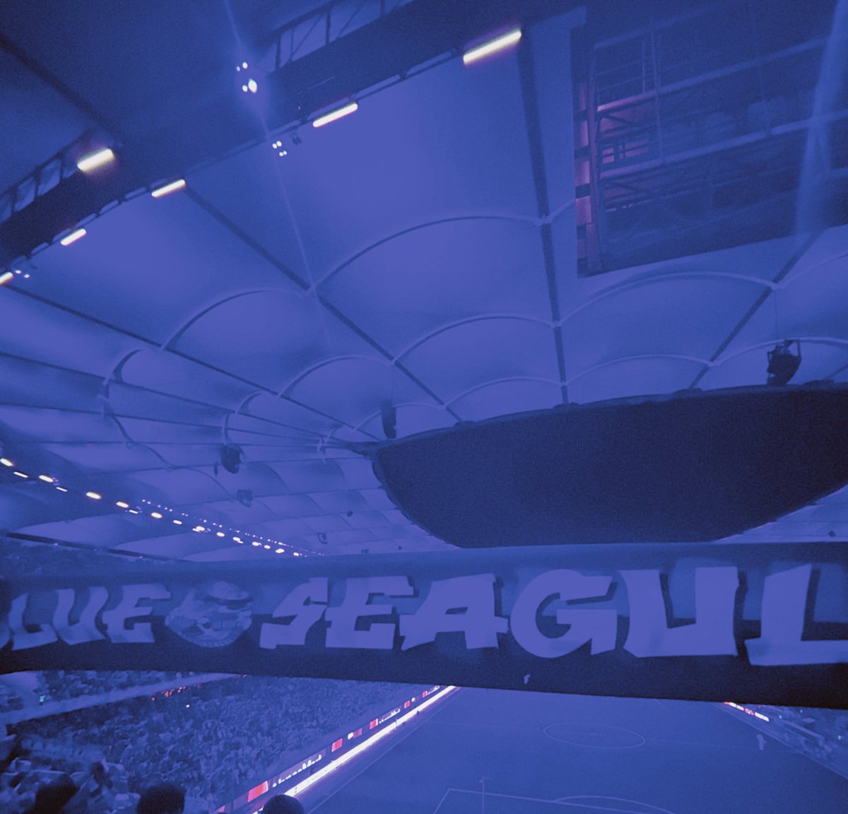 BlueSeagulls tweet media