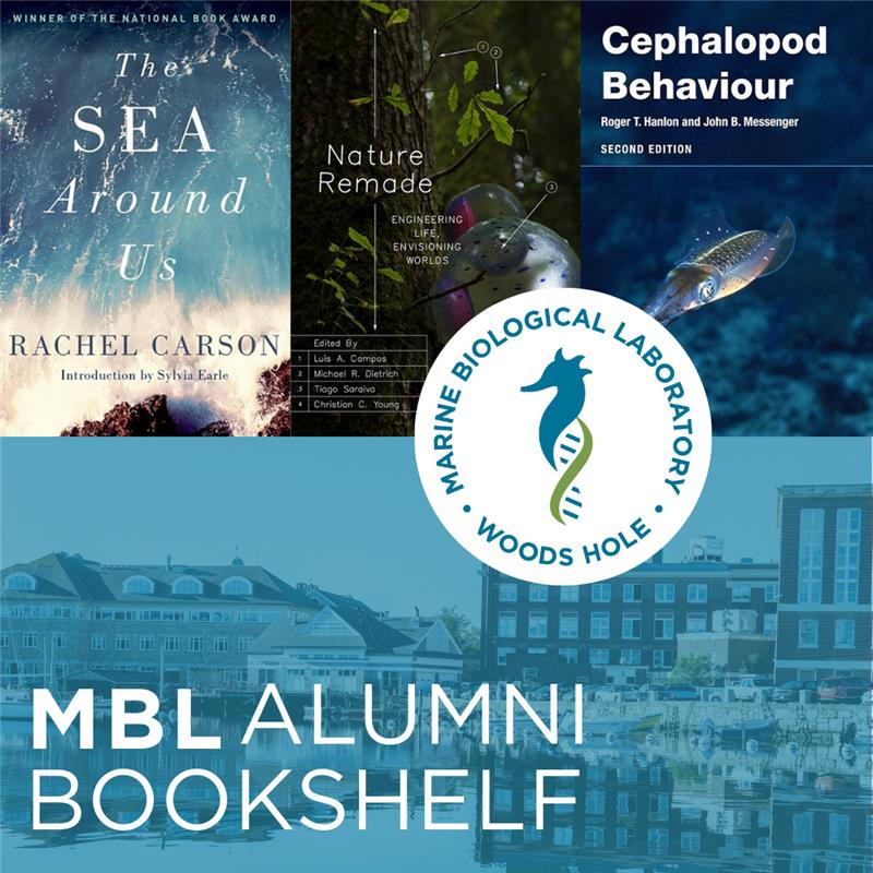 Marine Biological Laboratory (MBL) tweet media