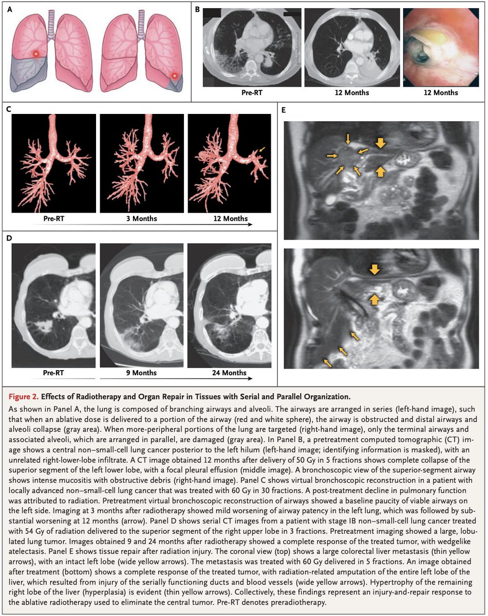 Oscar Tahuahua tweet media