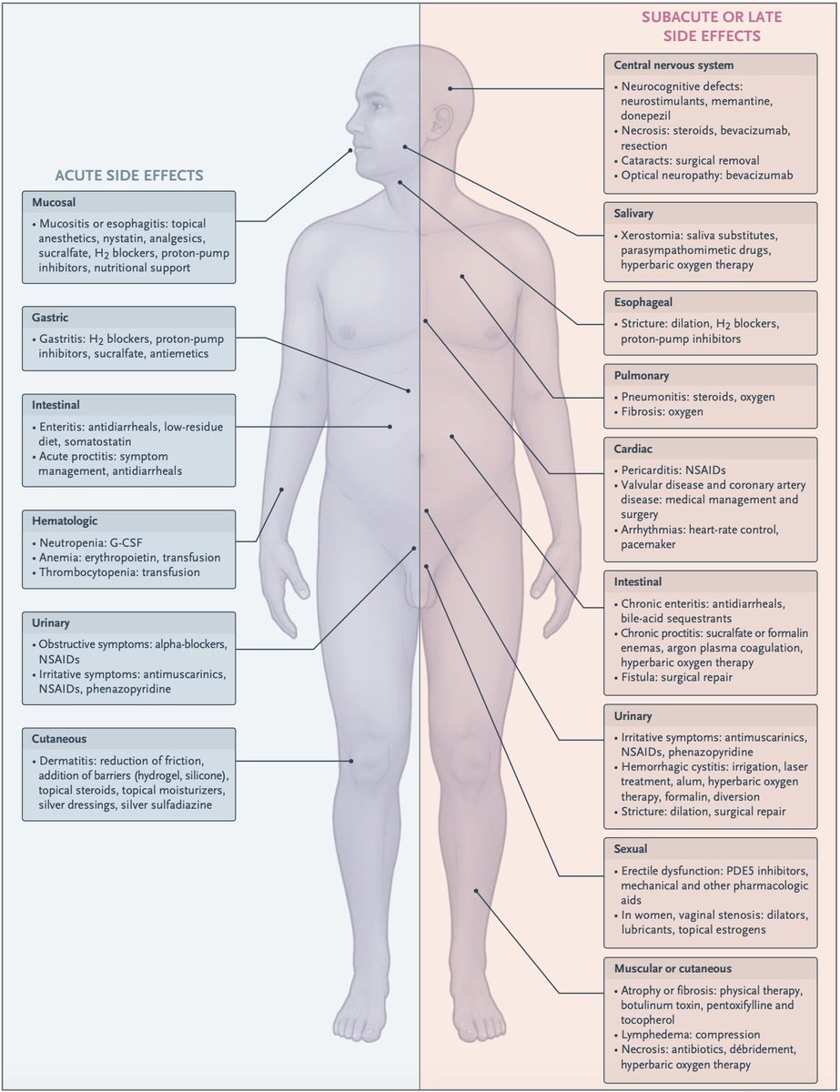 Oscar Tahuahua tweet media
