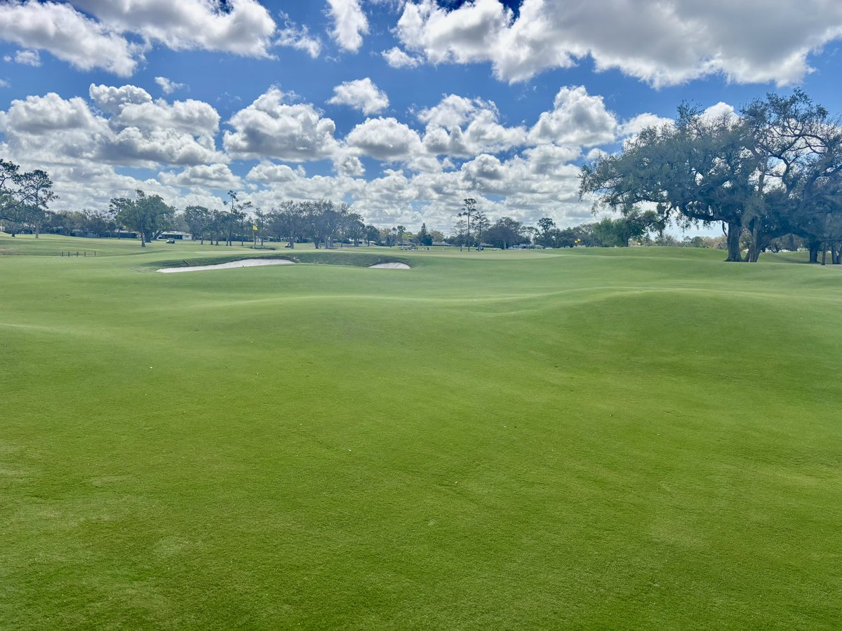 Andy Engelbrecht tweet media