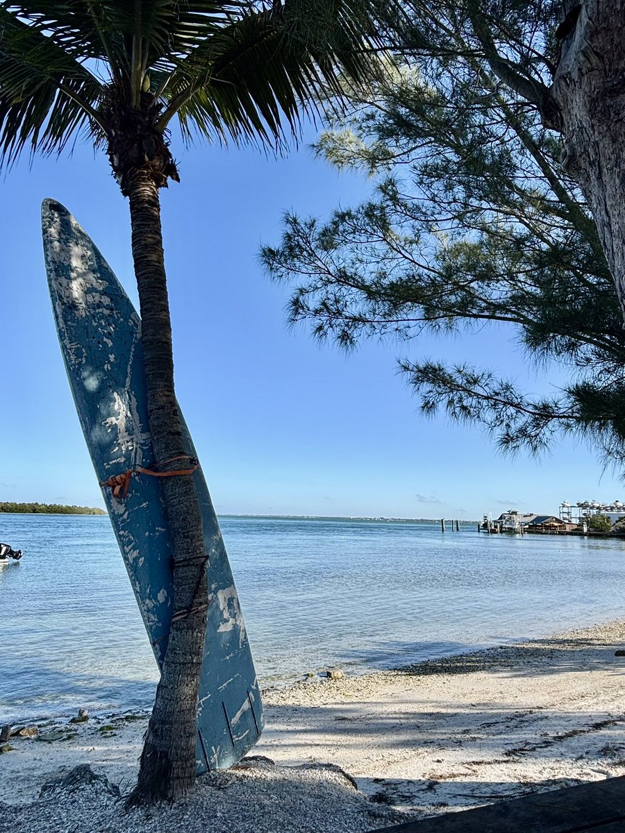 Andy Engelbrecht tweet media