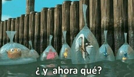 0fedeperez's tweet photo. Terminó carnaval https://t.co/ev4DCx8wpZ