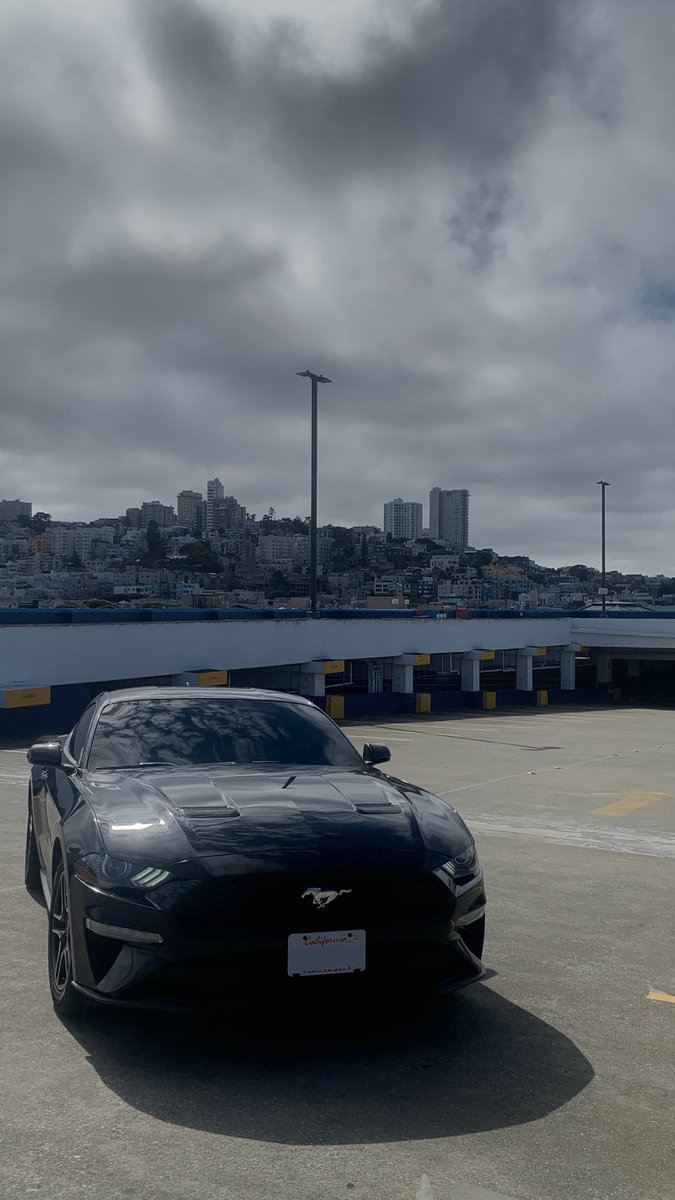 liya! $15 dm fee tweet media