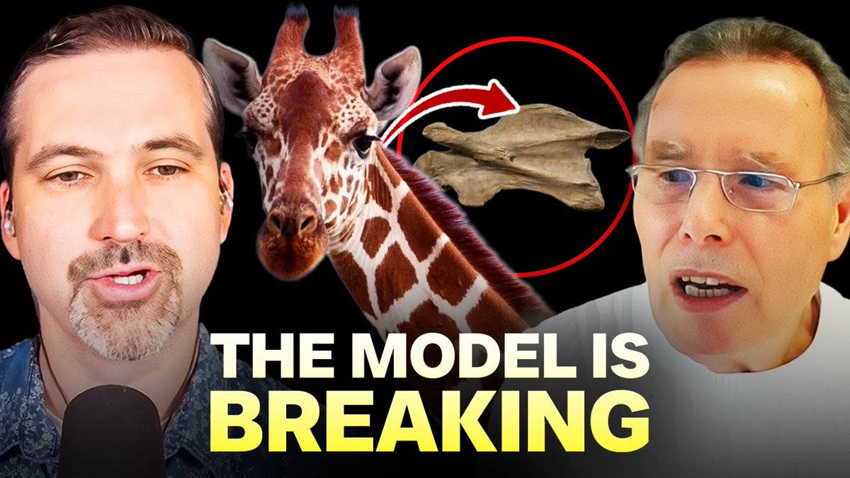 Intelligent Design The Future tweet media