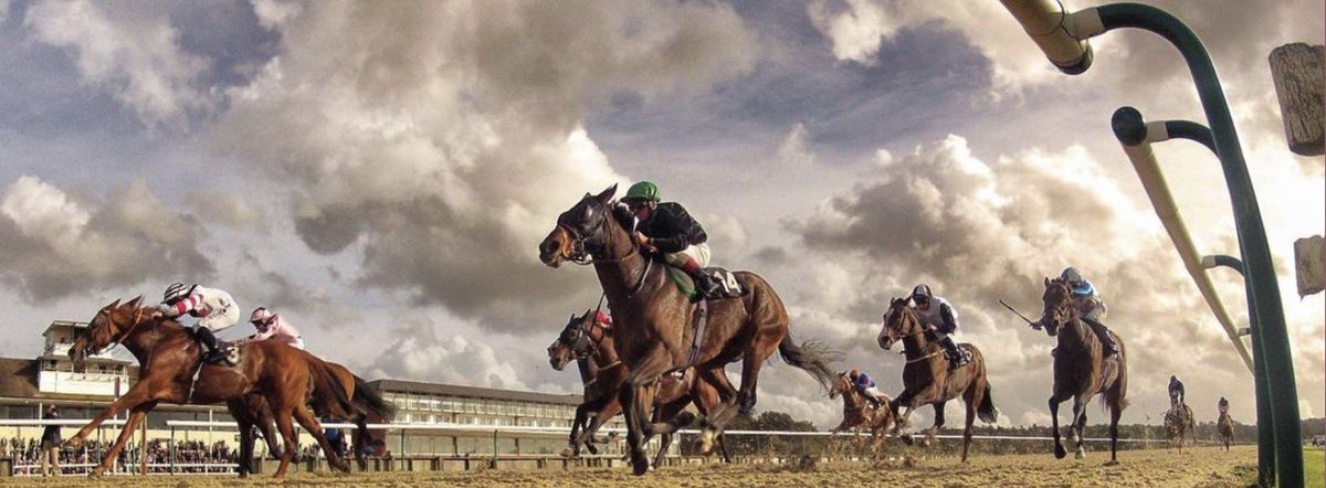 Richardlewisevans tweet media