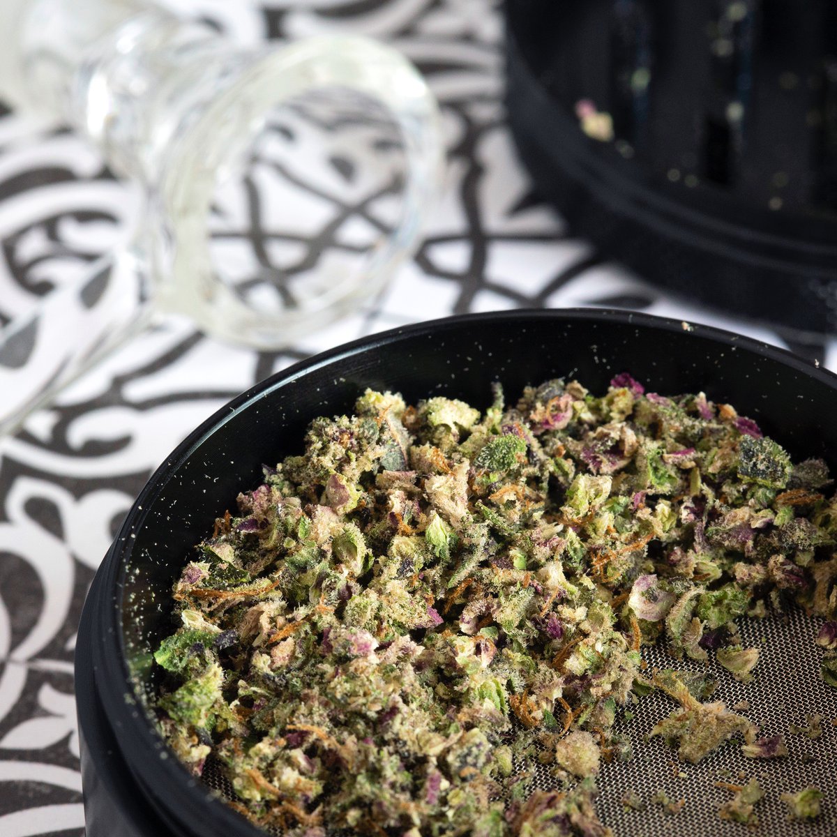 Plug Market tweet media