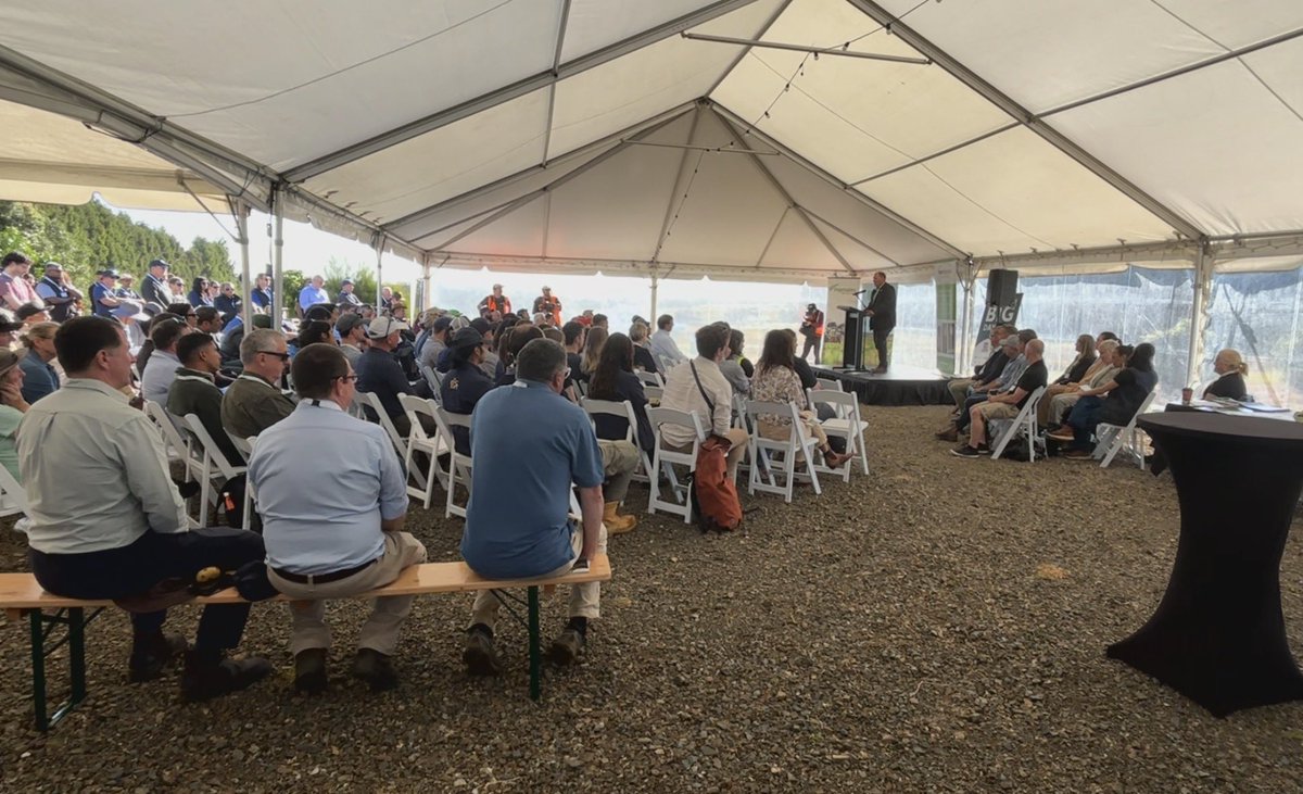 Potatoes New Zealand tweet media