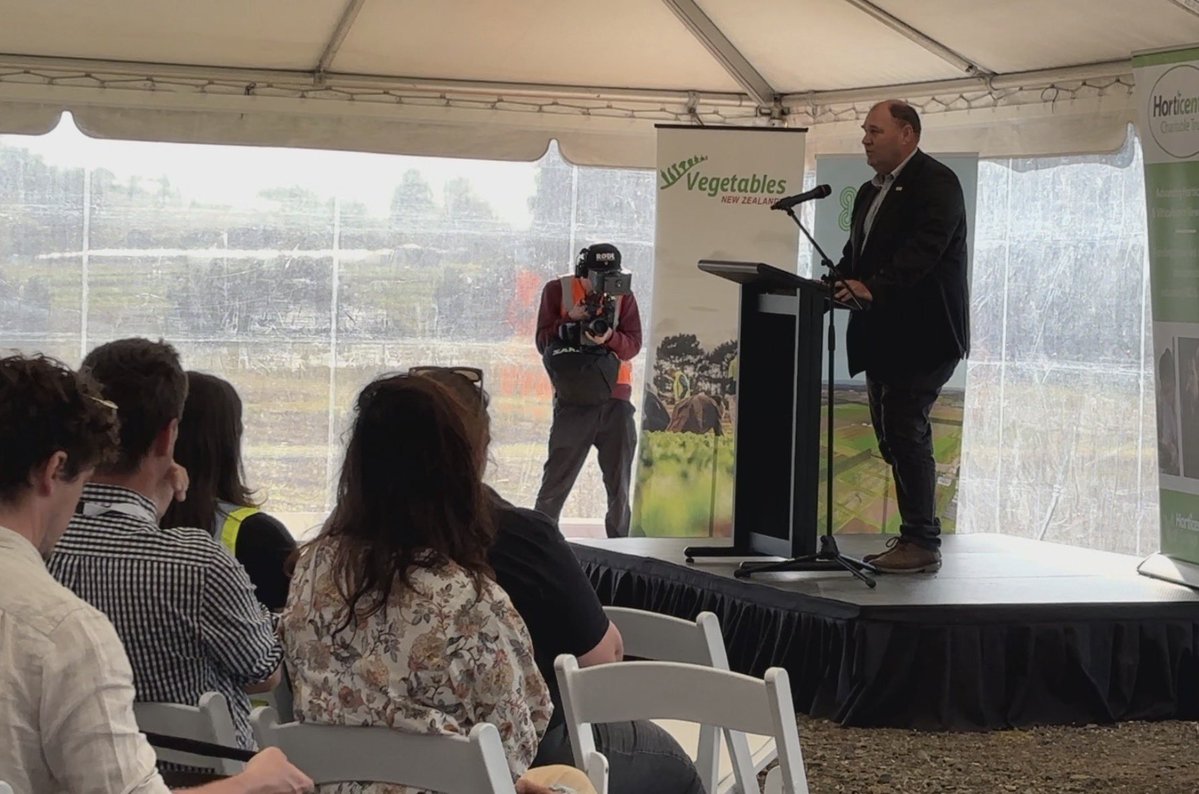 Potatoes New Zealand tweet media